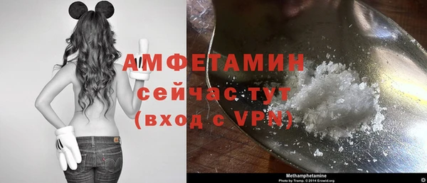 дживик Сатка
